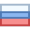 Russia Flag